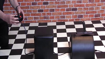 Latina nusilenkė plaukams, nubausta už sukčiavimą kietu gaidžiu